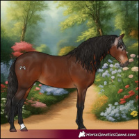 Horse Color:Gray Bay 