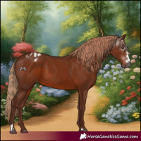 Horse Color:Gray Chestnut Sabino Varnish Rabicano 