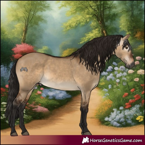 Horse Color:Gray Bay Dun 