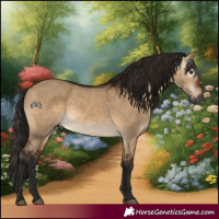 Horse Color:Gray Bay Dun 