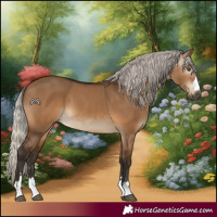 Horse Color:Gray Silver Bay Dun 