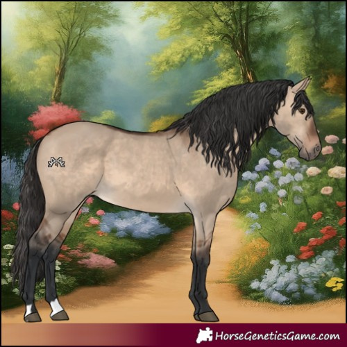 Horse Color:Brown Dun 