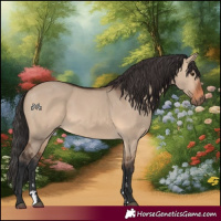 Horse Color:Brown Dun 