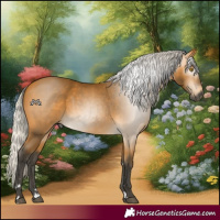 Horse Color:Gray Silver Buckskin 