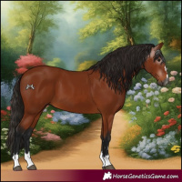 Horse Color:Gray Bay 