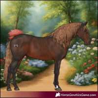 Horse Color:Liver Chestnut 
