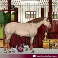 Horse Color:Red Dun 