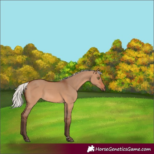 Horse Color:Silver Brown Dun