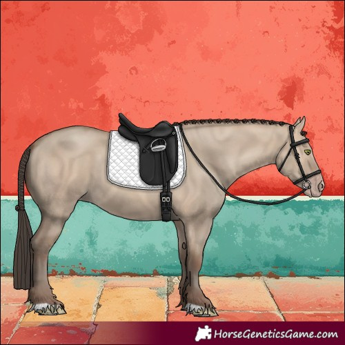 Horse Color:Amber Champagne Dun 