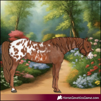 Horse Color:Chestnut Frame Blanket