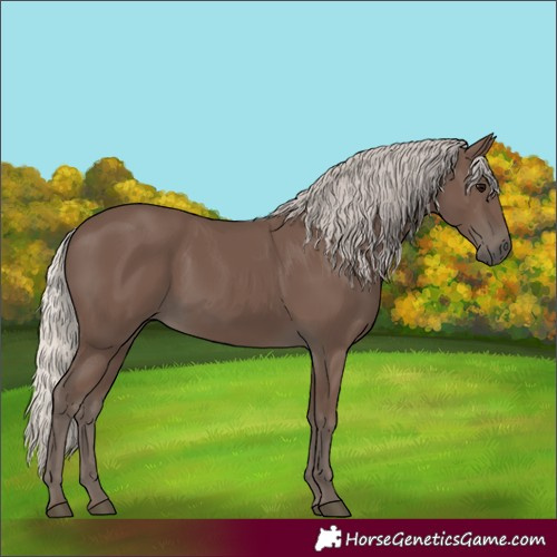 Horse Color:Silver Black 