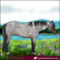 Horse Color:White Spotted Brown Roan