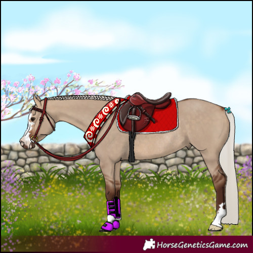 Horse Color:Silver Bay Dun Rabicano 