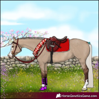 Horse Color:Silver Bay Dun Rabicano 