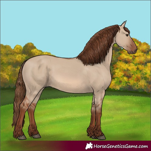 Horse Color:Unknown 