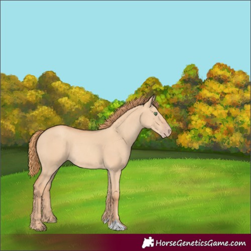 Horse Color:Gold Champagne Dun Rabicano