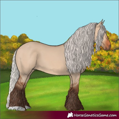 Horse Color:Silver Bay Dun