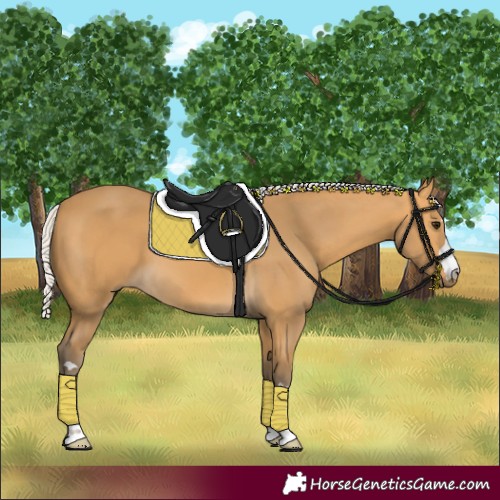 Horse Color:Silver Buckskin 