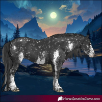 Horse Color:Black Sabino Snowflake Varnish 