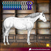 Horse Color:Black Sabino
