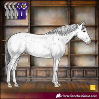 Horse Color:Black Sabino 