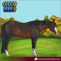 Horse Color:Brown 