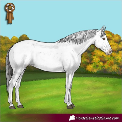 Horse Color:Brown Sabino Rabicano 