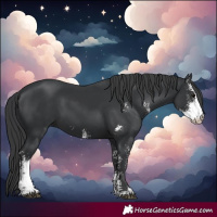 Horse Color:Black Sabino