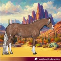 Horse Color:Silver Black Splash