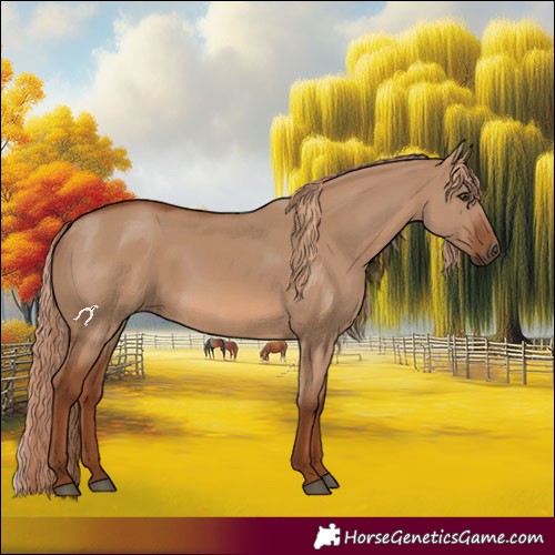 Horse Color:Red Dun 