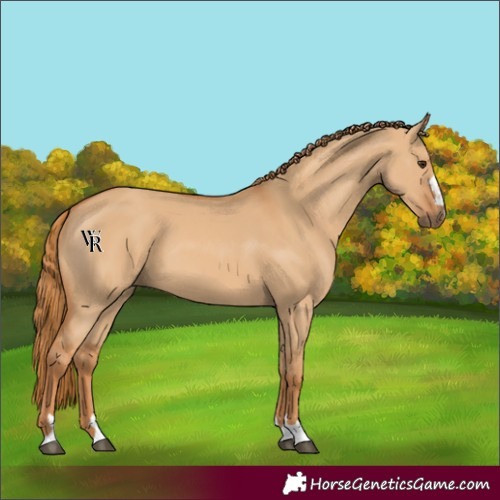 Horse Color:Red Dun 