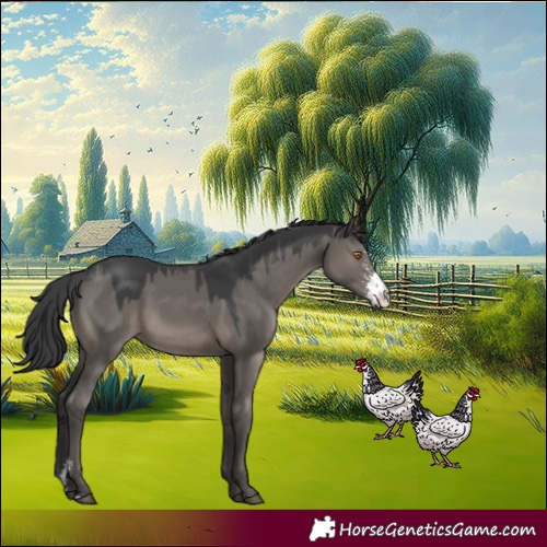 Horse Color:Grullo Sabino 