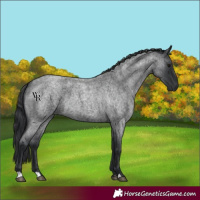 Horse Color:Blue Roan 