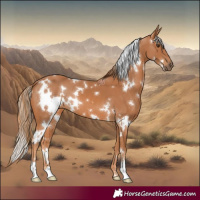 Horse Color:White Spotted Chestnut 