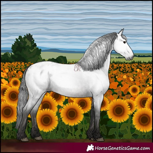 Horse Color:Gray Blue Roan Blanket 
