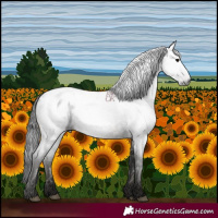 Horse Color:Gray Blue Roan Blanket 