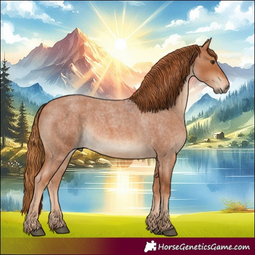 Horse Color:Red Roan 