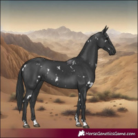 Horse Color:White Spotted Black