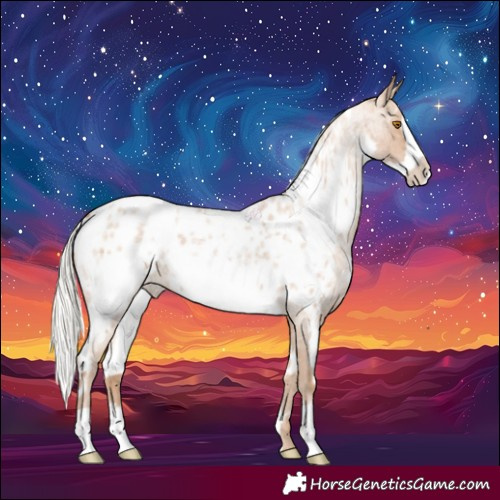 Horse Color:White Spotted Silver Blue Roan Pearl Frame Near Leopard 