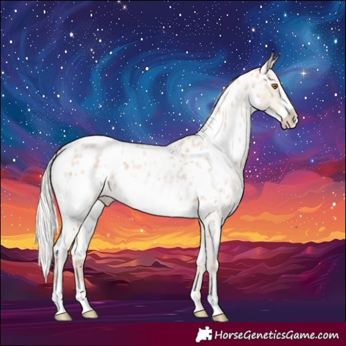 Horse Color:White Spotted Silver Blue Roan Pearl Frame Appaloosa 