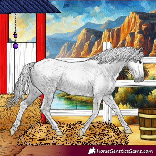 Horse Color:Gray Black Splash Tobiano 