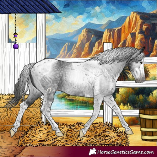 Horse Color:Gray Black Splash Tobiano 