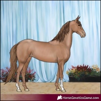 Horse Color:Black Pearl 