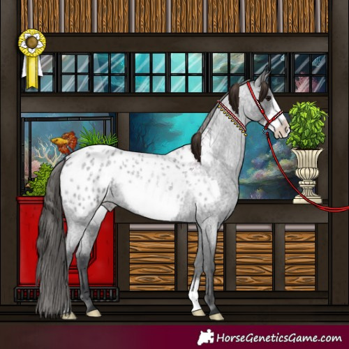 Horse Color:Blue Roan Frame Blanket 