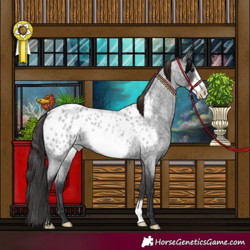 Horse Color:Blue Roan Frame Blanket 