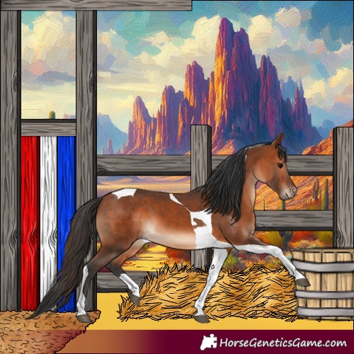 Horse Color:Bay Tobiano 