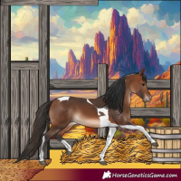 Horse Color:Bay Tobiano 