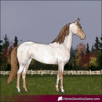 Horse Color:White Spotted Red Roan Pearl 