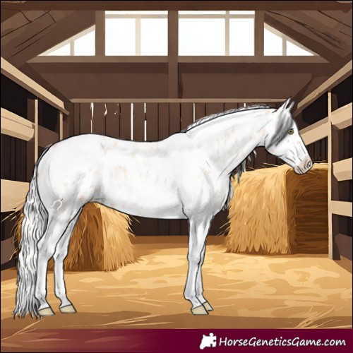 Horse Color:Silver Amber Champagne Roan Dun Splash Tobiano Frame Appaloosa Rabicano 