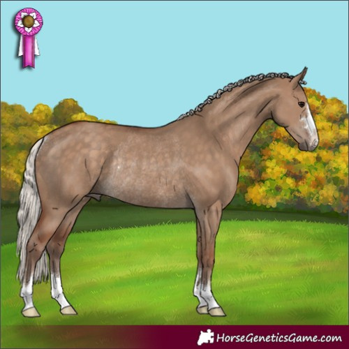 Horse Color:Silver Grullo Rabicano 